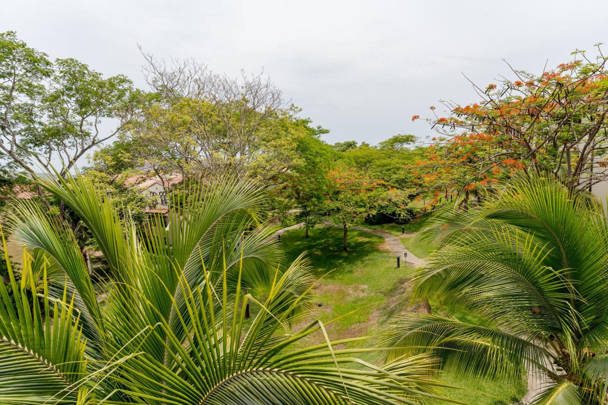 Coco Breeze Private Residence Extérieur photo