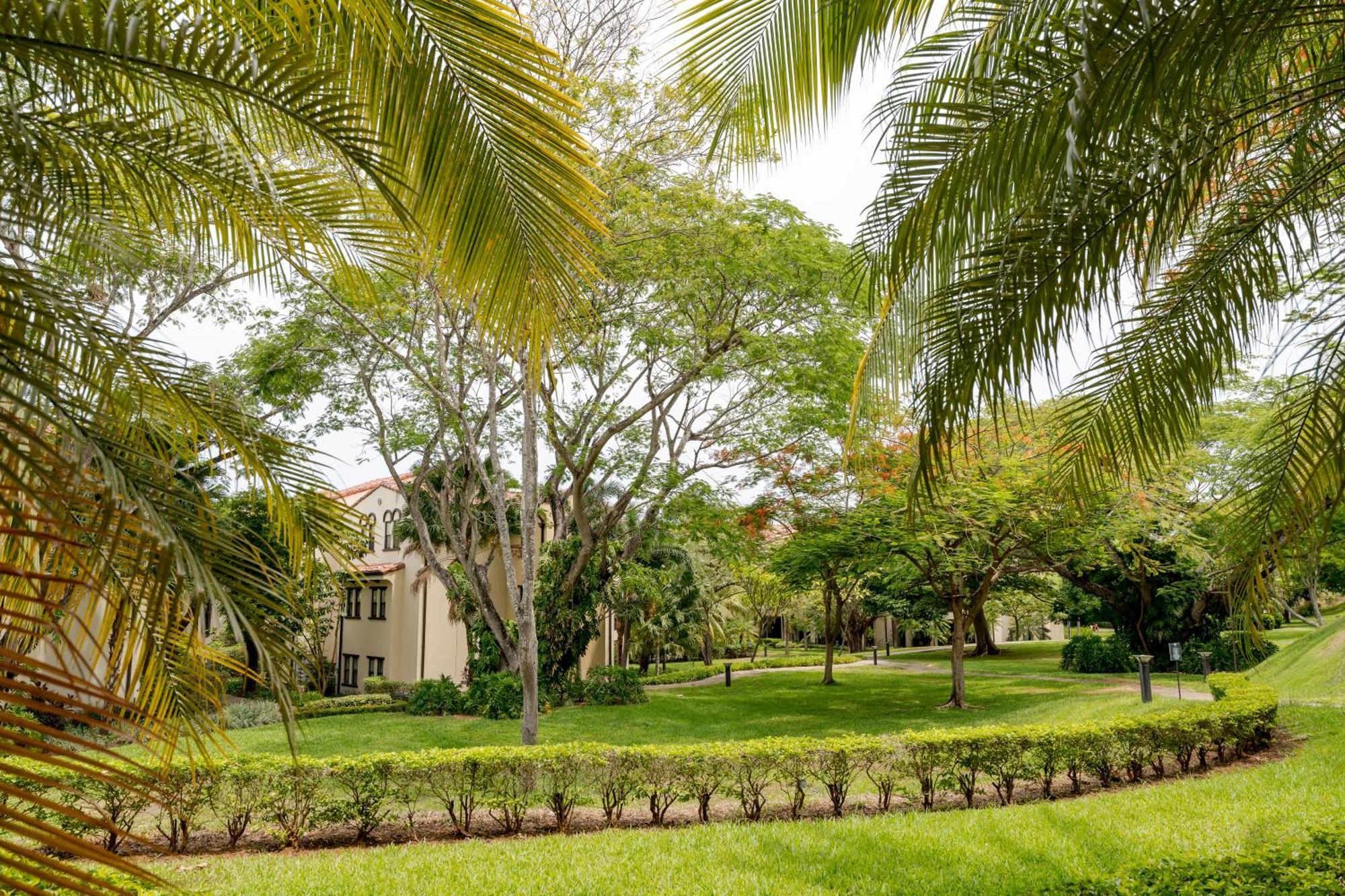 Coco Breeze Private Residence Extérieur photo